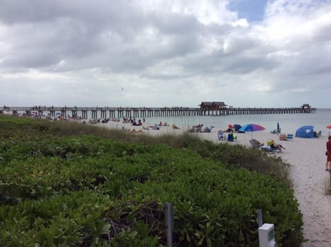 Sun loungers, beach towels