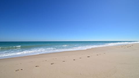 On the beach