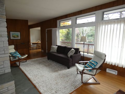 TV, fireplace, books