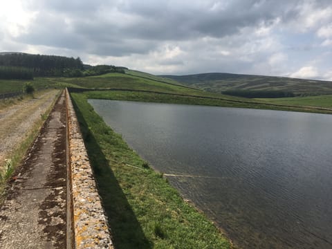 Walk / drive along the dam, and enjoy the wild brown trout fishing