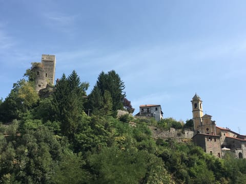 Tresana; the commune comprises a collection of villages,  Villecchia being one.
