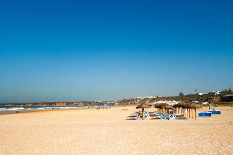 Beach nearby, sun loungers