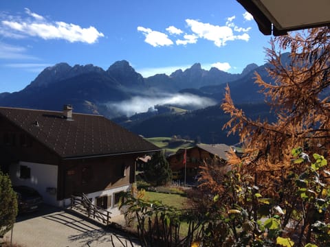 View from terrace in Autumn 