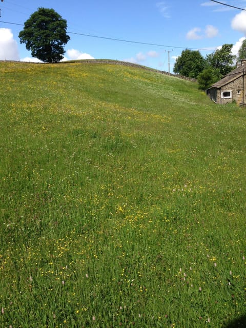 View from the main bedroom
