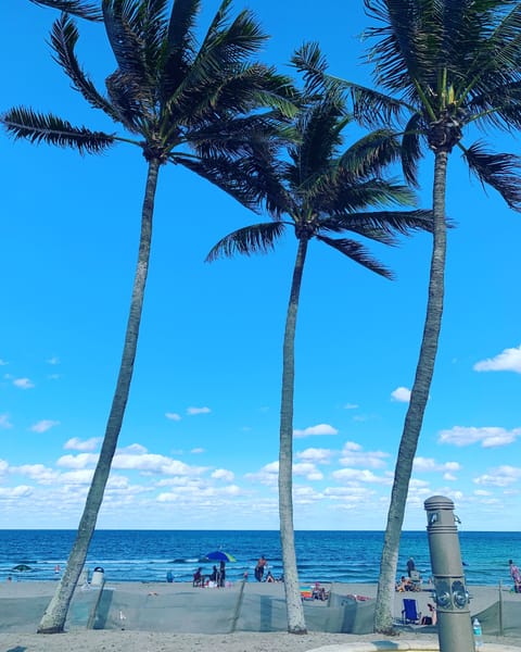 Sun loungers, beach towels