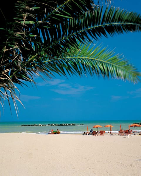 Sun loungers, beach towels