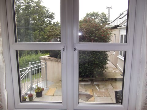 View from the Kitchen Window