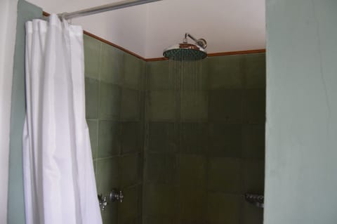 Combined shower/tub, bidet