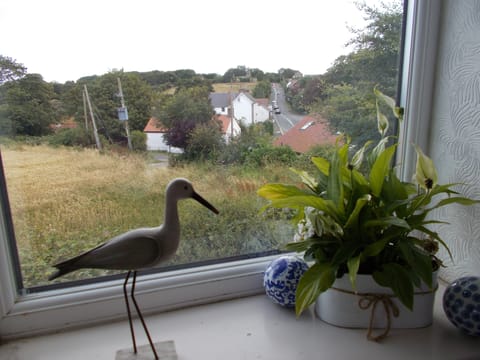 Rural views from sitting room.