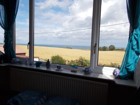 Looking out at the harvest and sea.