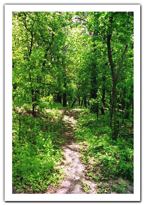 Trailhead at Walter J. Hayes State Park on Wamplers Lake