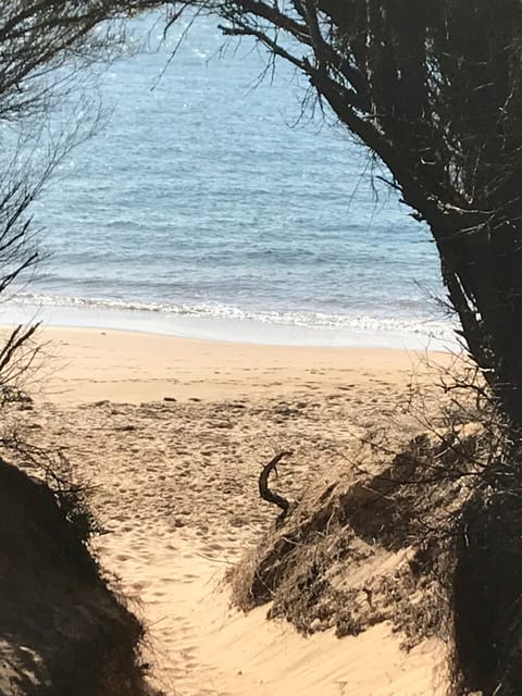 Beach nearby