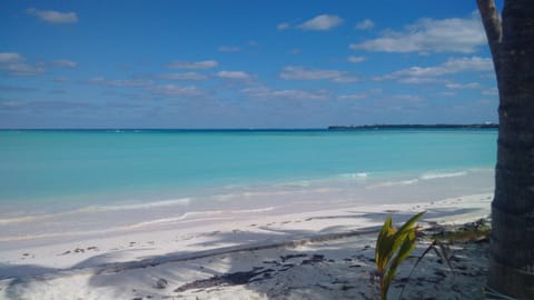 On the beach, sun loungers, beach towels