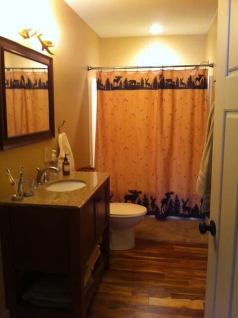 Combined shower/tub, hair dryer, towels, toilet paper