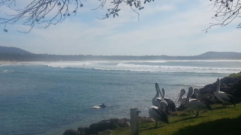 Beach nearby, sun loungers