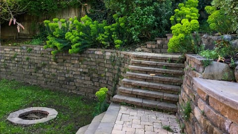 Roast Marshmallows in the backyard fire pit.