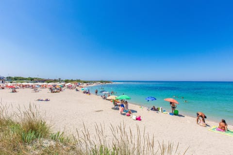 Beach nearby, sun loungers