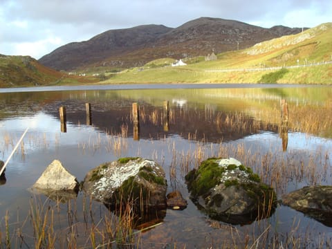 View from the cottage