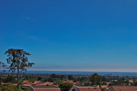 Beautiful unobstructed ocean view!