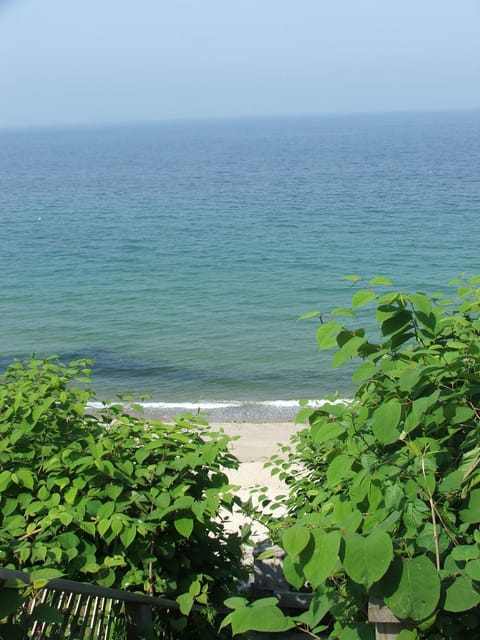 On the beach, sun loungers