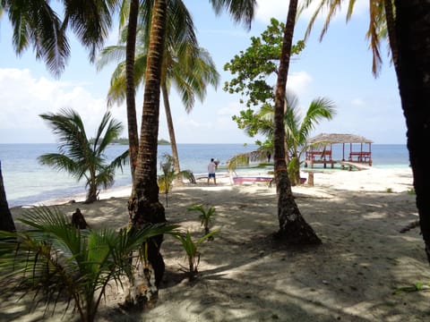 On the beach