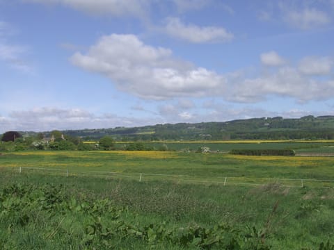View from Dilston Cottage