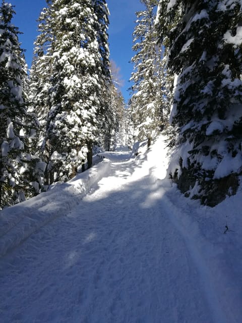 Snow and ski sports