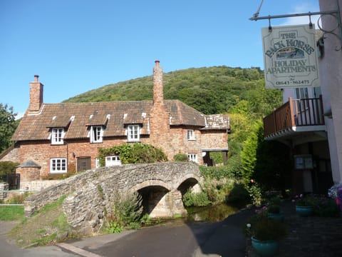 The Bridge in the Sunny Summer !