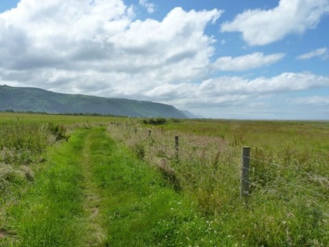 Walk this path from Bossington to Porlock or Porlock Weir.