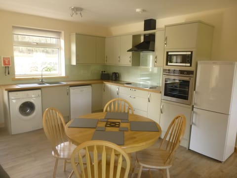 Kitchen and dining area