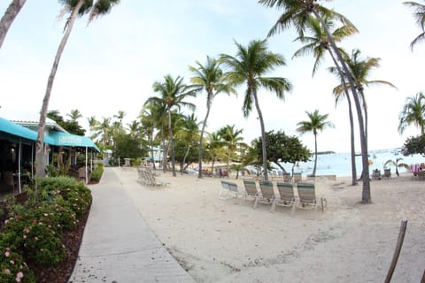 On the beach, sun loungers, beach towels