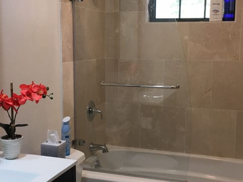 Combined shower/tub, hair dryer, towels, soap