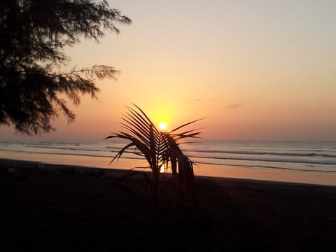 On the beach, sun loungers, beach towels