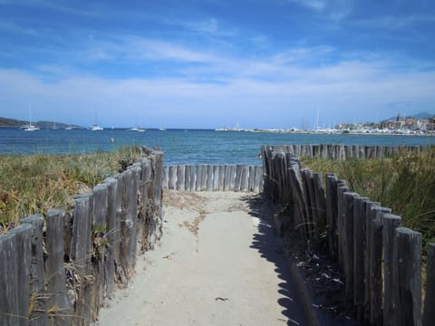 On the beach