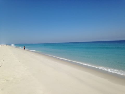 On the beach