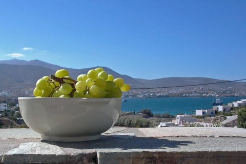 pick up fresh fruit at the local markets