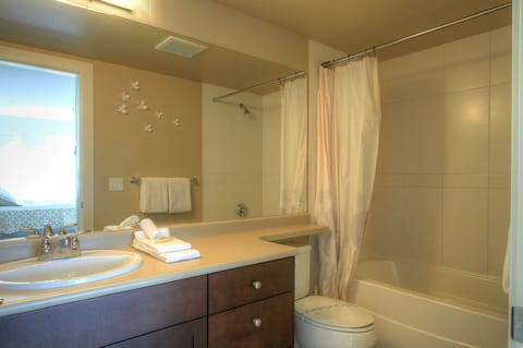 Combined shower/tub, hair dryer, towels, soap