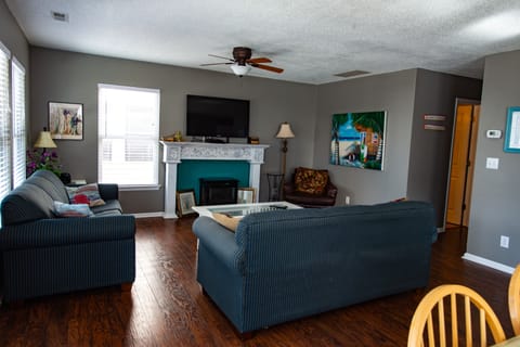 TV, fireplace, books