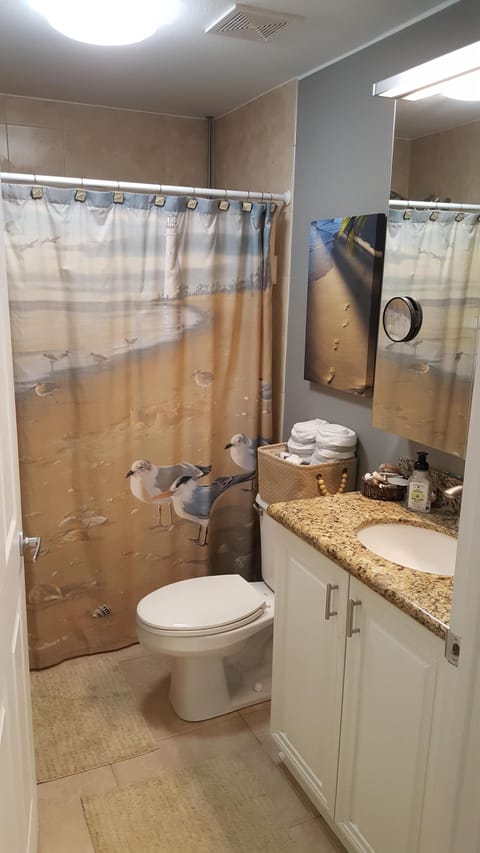 Combined shower/tub, hair dryer, towels, toilet paper