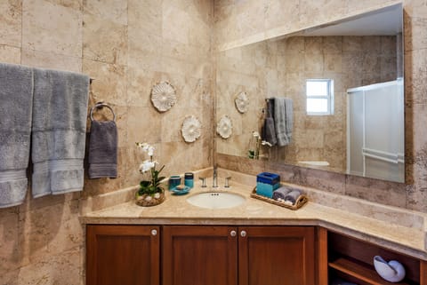 Combined shower/tub, hair dryer, towels, soap