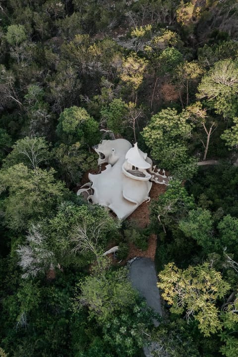 Surrounded by lush greenery, The Bloomhouse feels completely secluded while still close to the city.