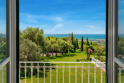 Veduta del parco e vista mare dal balcone