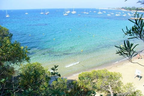 Beach nearby, sun loungers