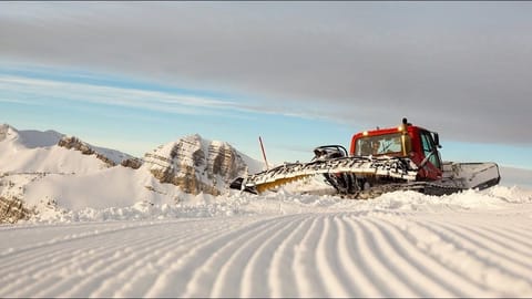 Snow and ski sports