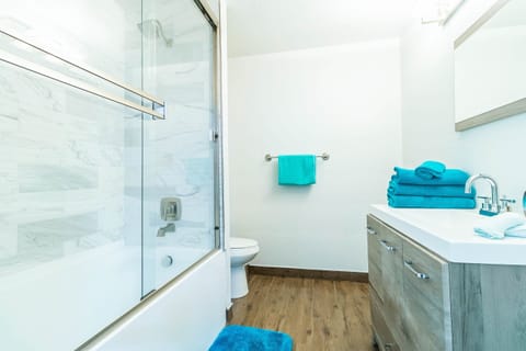 Combined shower/tub, hair dryer, towels, shampoo