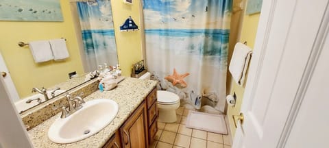 Combined shower/tub, hair dryer, towels, toilet paper