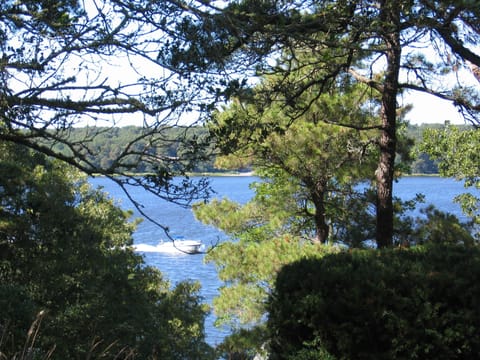 Fabulous Water Views From Patio; Good for Boating, Water Skiing.
