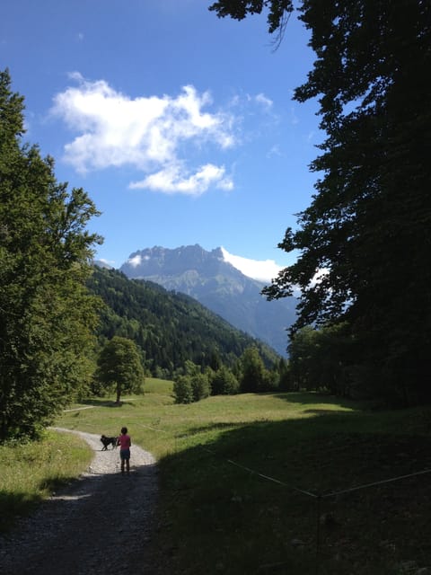 Hiking trail within a mile of the chalet
