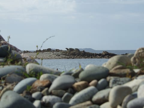 On the beach