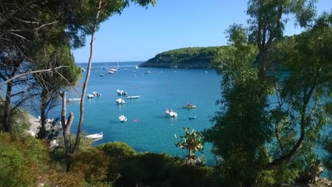 view of private ground near sea coast 